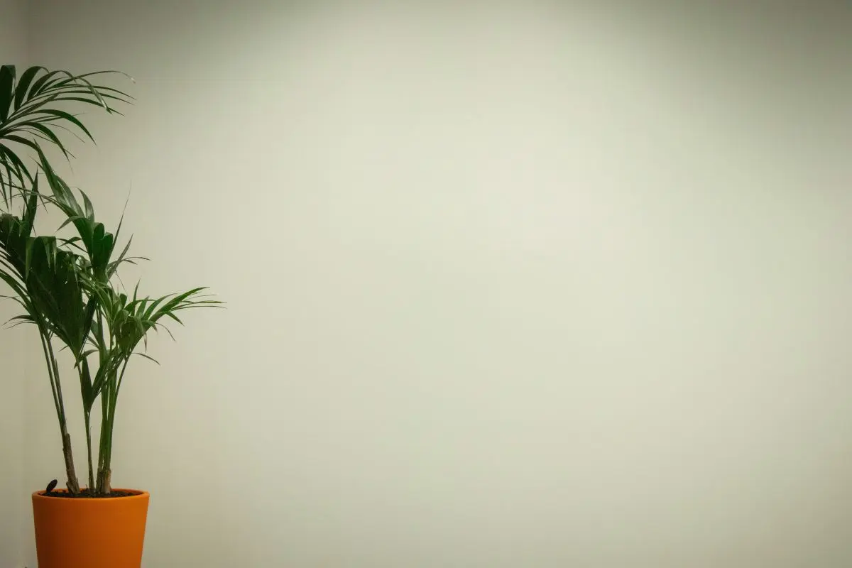 一次差点被骗的采购故事，值得采购们借鉴